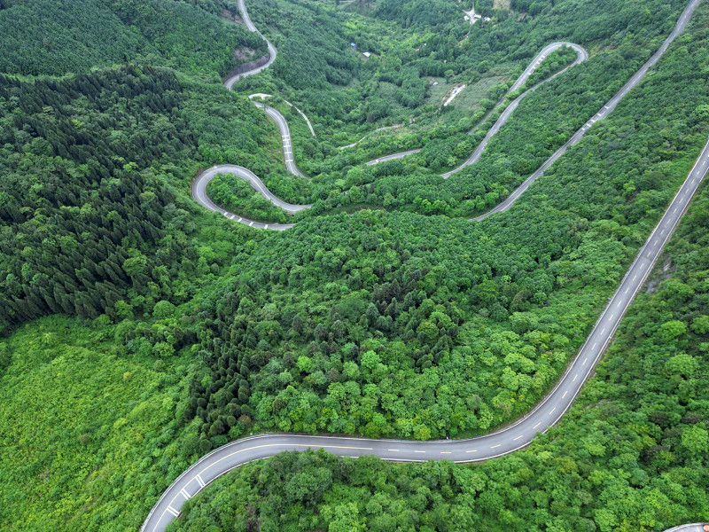 蒲虹路的发夹弯